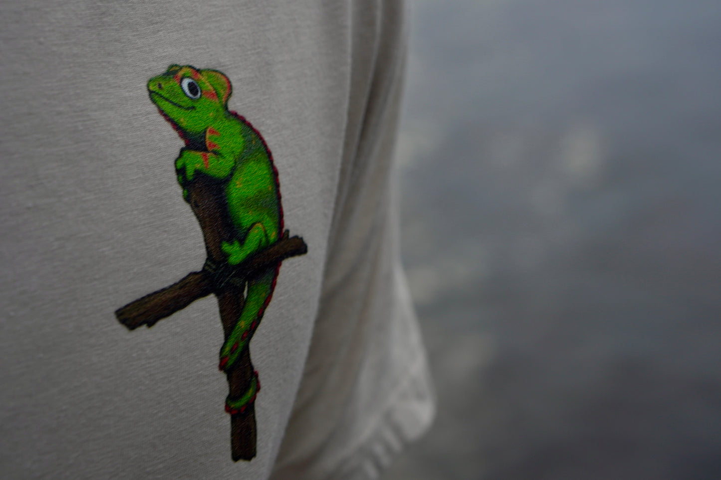 Benevolent Brand desert dust t-shirt