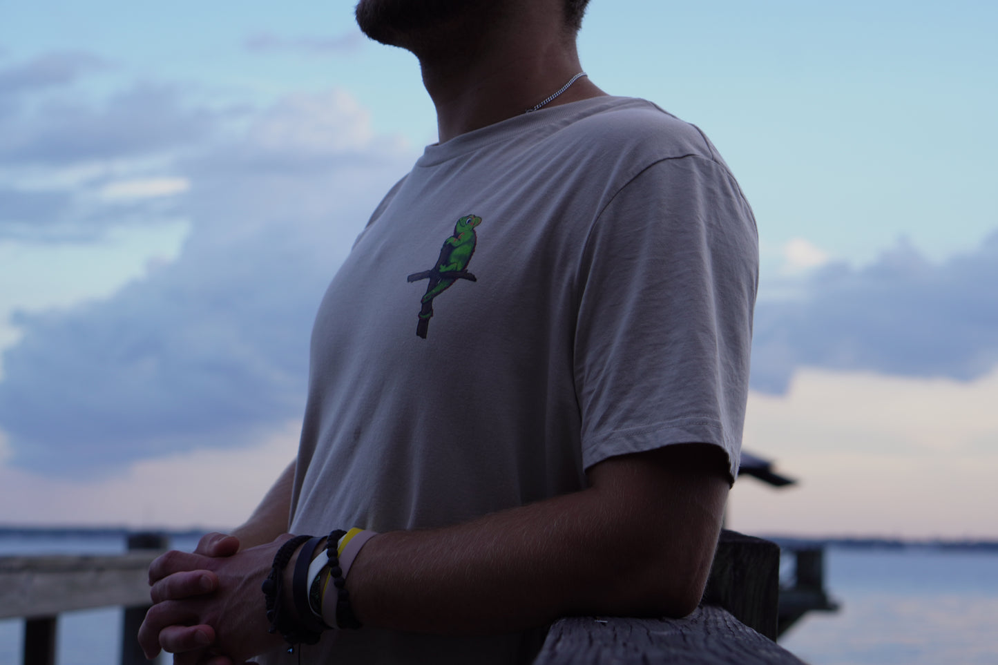 Benevolent Brand desert dust t-shirt